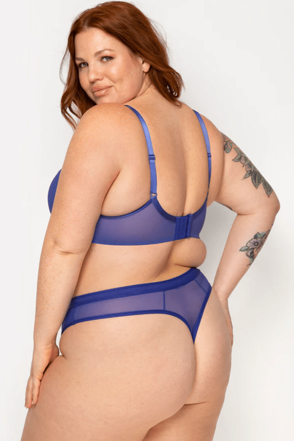 Sheer Mesh High Cut Thong - Blue