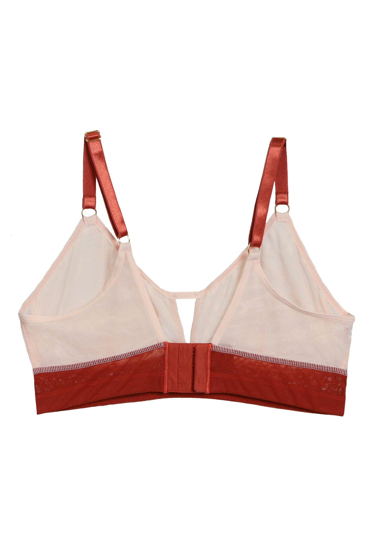 AnaOno Bras Victoria Mesh Keyhole Bralette - Blush / Terracotta