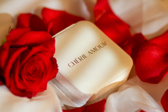 Cherie Amour Travel Jewelry Box