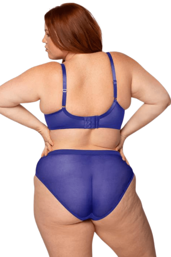 Curvy Couture Briefs Cosmic Blue / M Sheer Mesh High Cut Brief - Blue