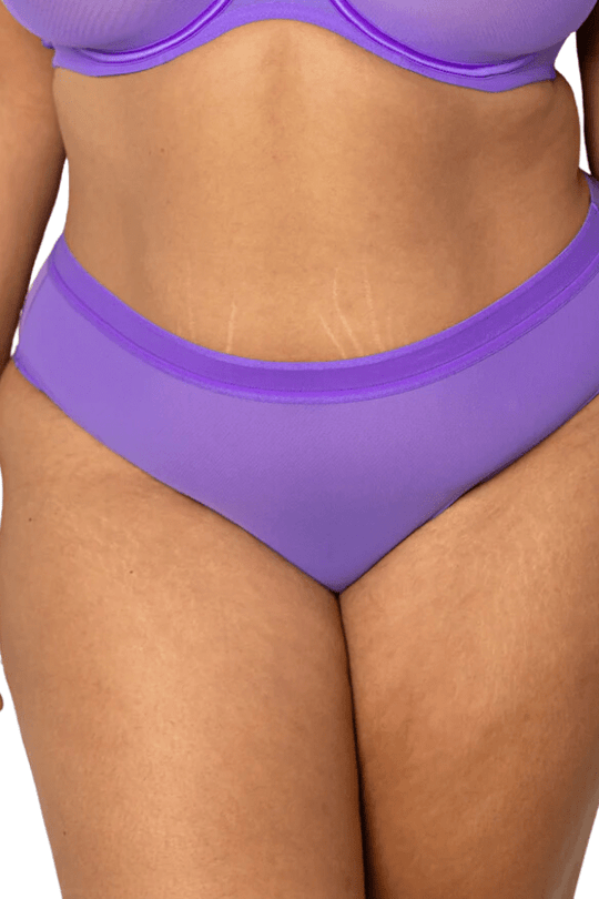 Sheer Mesh High Cut Brief - Violet