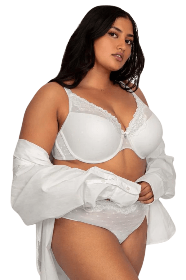 Curvy Couture Briefs Sheer Whisper High Cut Brief - White