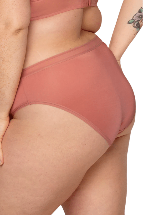 Curvy Couture Briefs Silky Smooth High Cut Brief - Desert Dawn