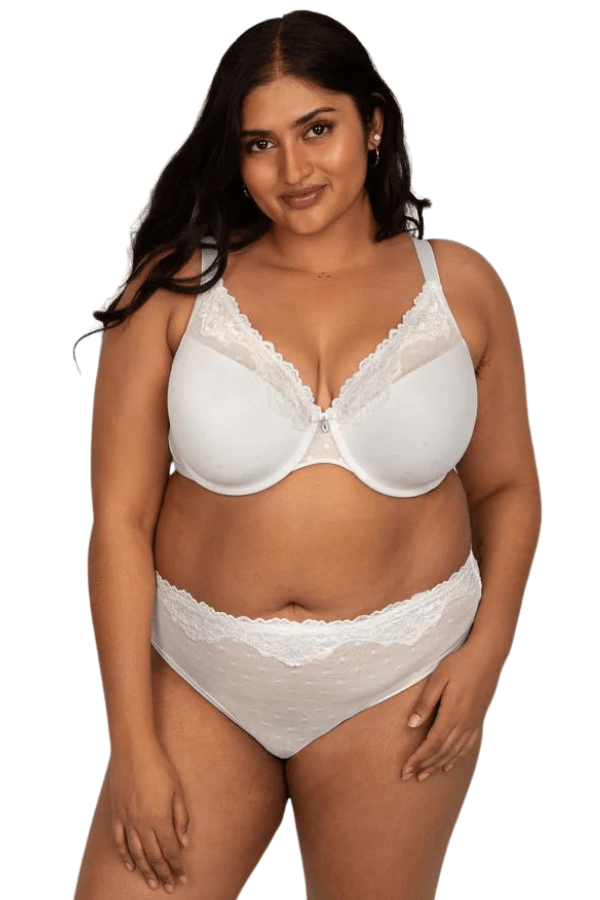 Curvy Couture Briefs White / S Sheer Whisper High Cut Brief - White