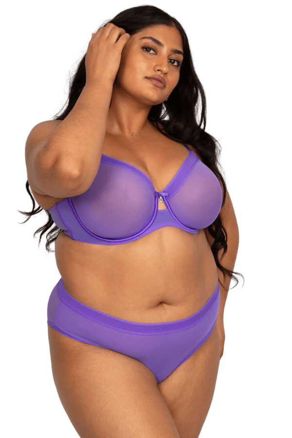 Curvy Couture Plunge Sheer Mesh Unlined Underwire Bra - Violet