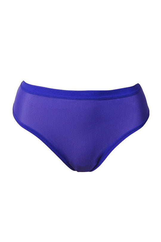Sheer Mesh High Cut Thong - Blue