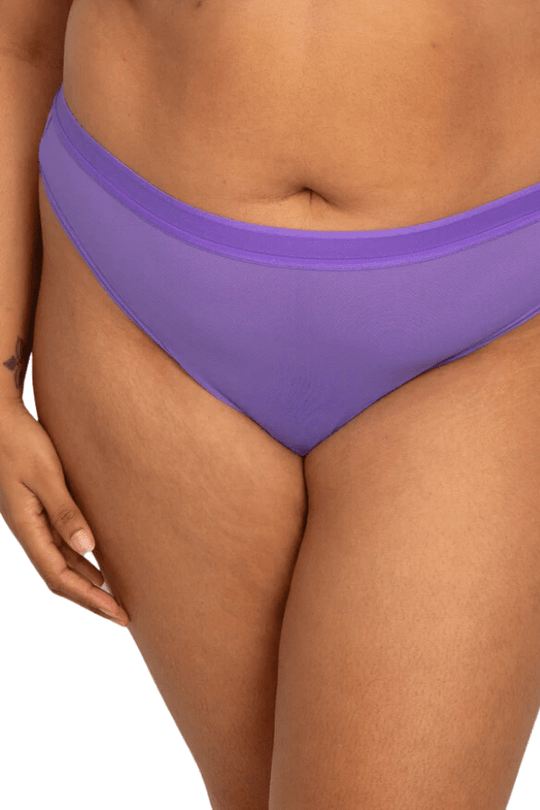 Sheer Mesh High Cut Thong - Violet