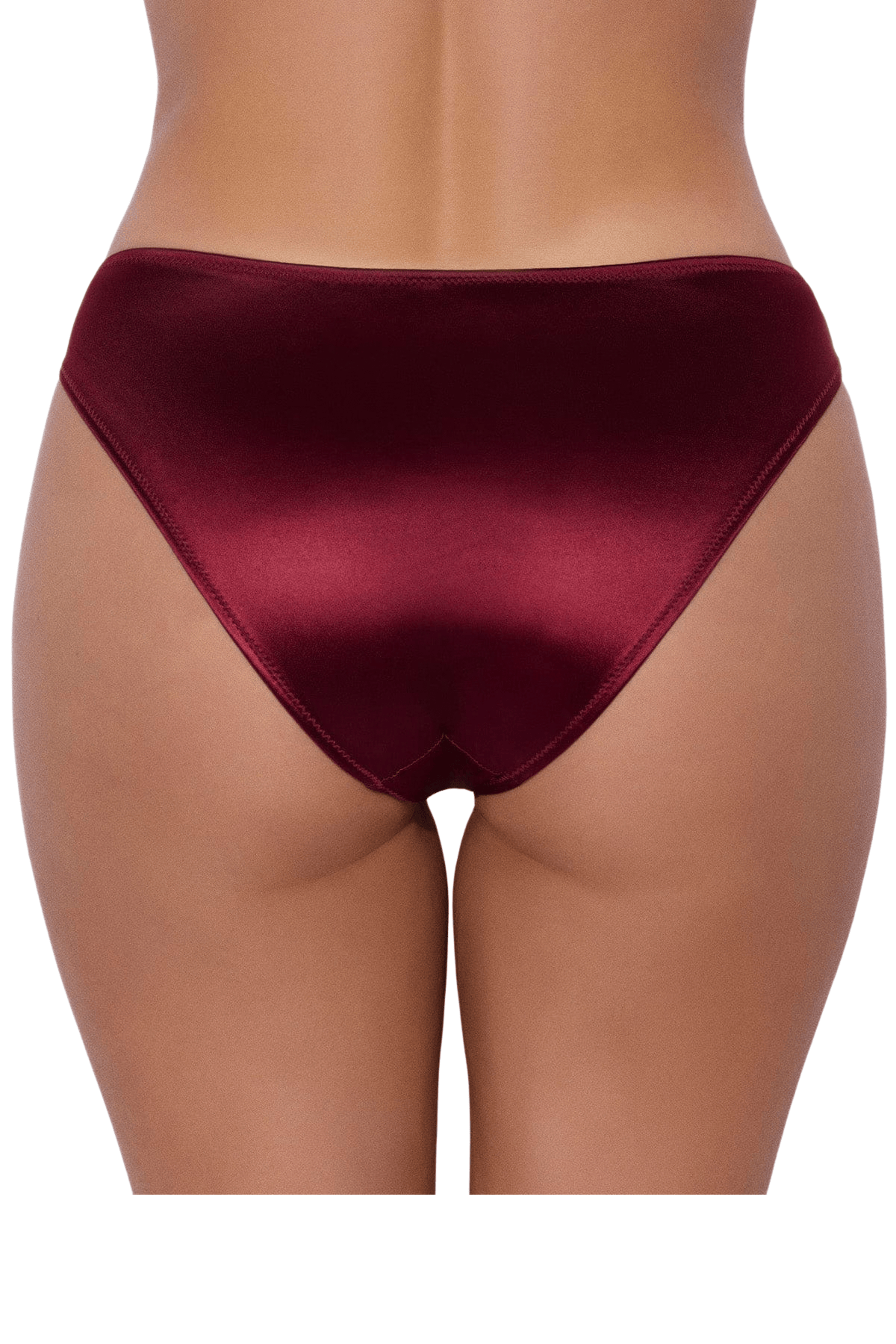 House of Desire Allegra Liquid Satin Hipster