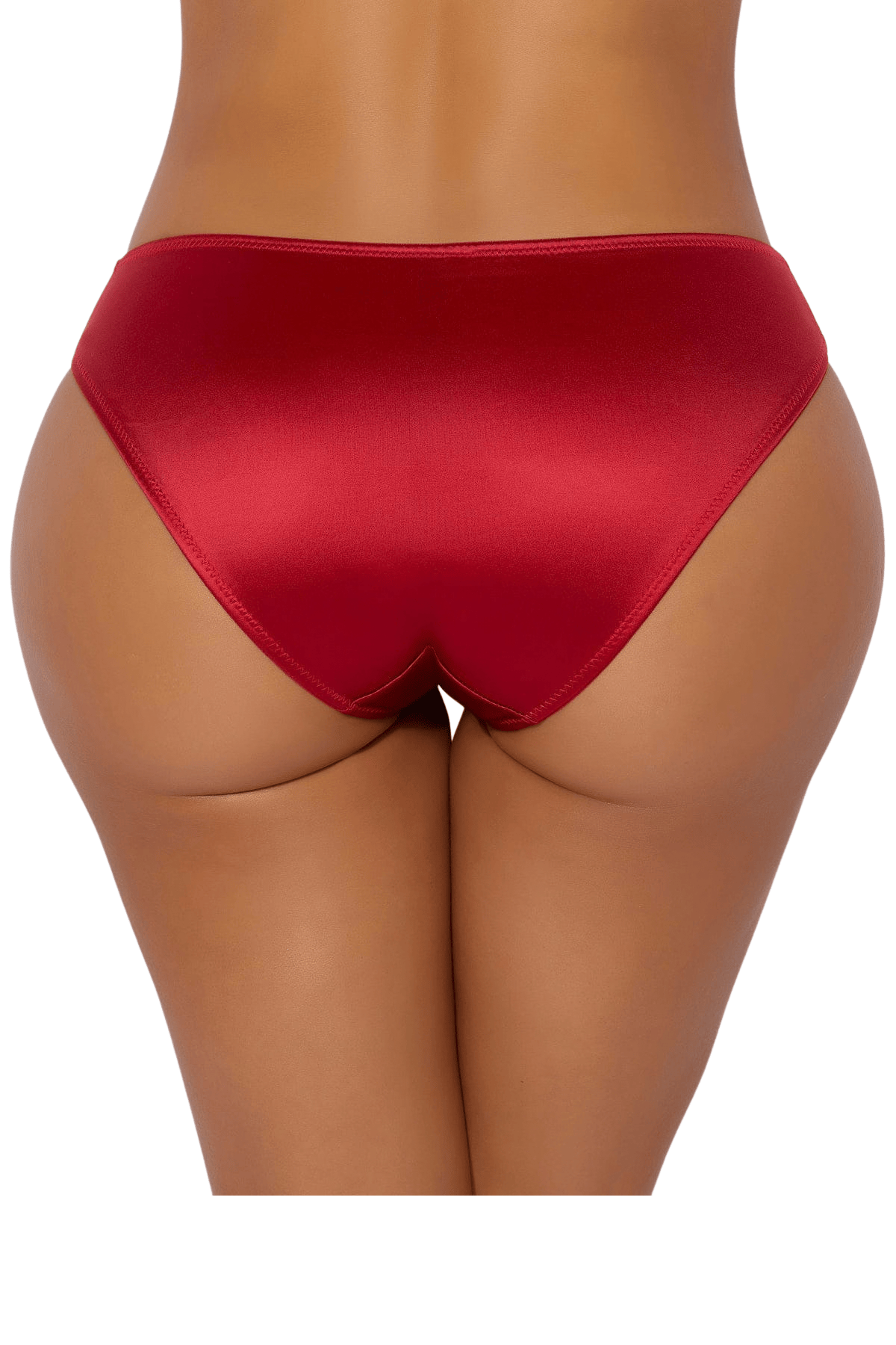House of Desire Allegra Liquid Satin Hipster