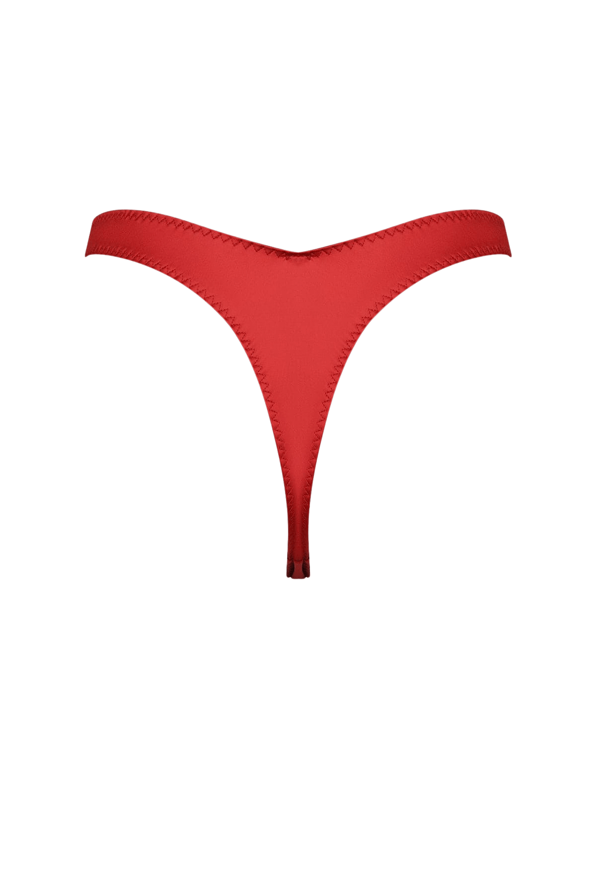 House of Desire Allegra Silky Micro Tanga