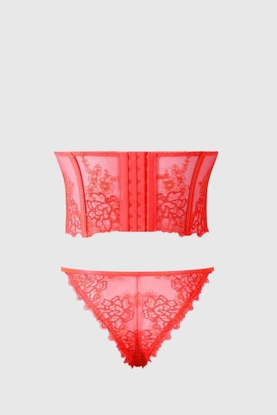 House of Desire Eden Embroidered Bustier & Tanga Set - Coral