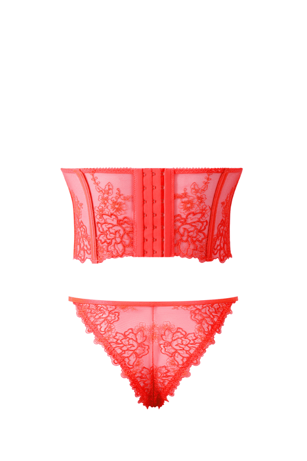 House of Desire Eden Embroidered Bustier & Tanga Set - Coral Pink