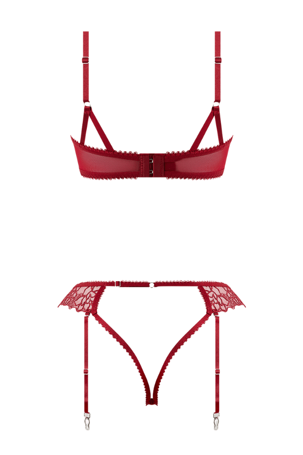 House of Desire Lingerie Set Eden Embroidered Lace Bra & Backless Hipster Set