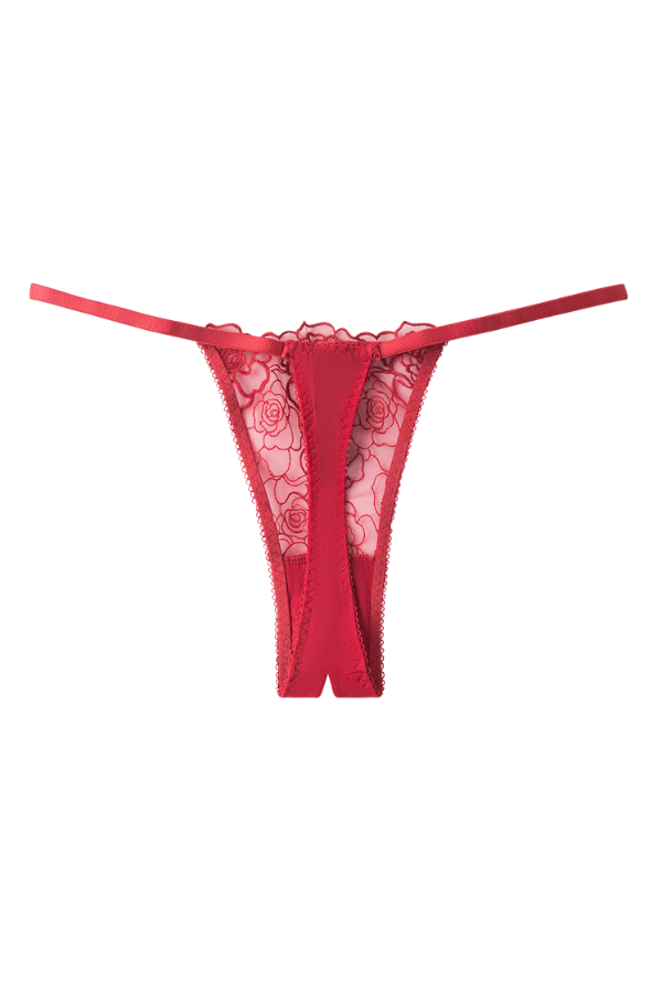 House of Desire Lingerie Set Rosalie Embroidered Lace & Mesh Crotchless Thong Red