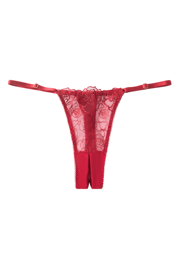 House of Desire Lingerie Set Rosalie Embroidered Lace & Mesh Crotchless Thong Red