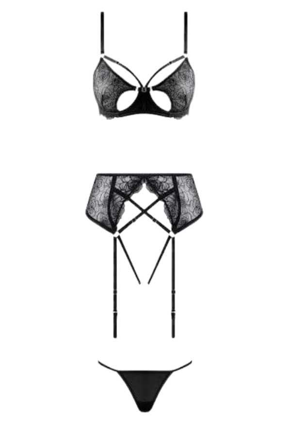 House of Desire Lingerie Set Rosalie Embroidered Lace Open-Cup Bra, Garter & G-String Set Black
