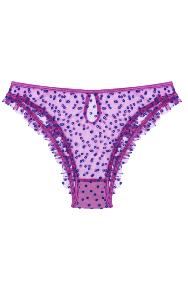 Le Petit Trou Underwear Petunia Briefs- Purple
