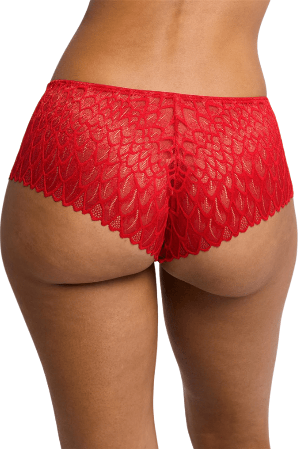 Montelle Lingerie Lacy Brazilian - Red