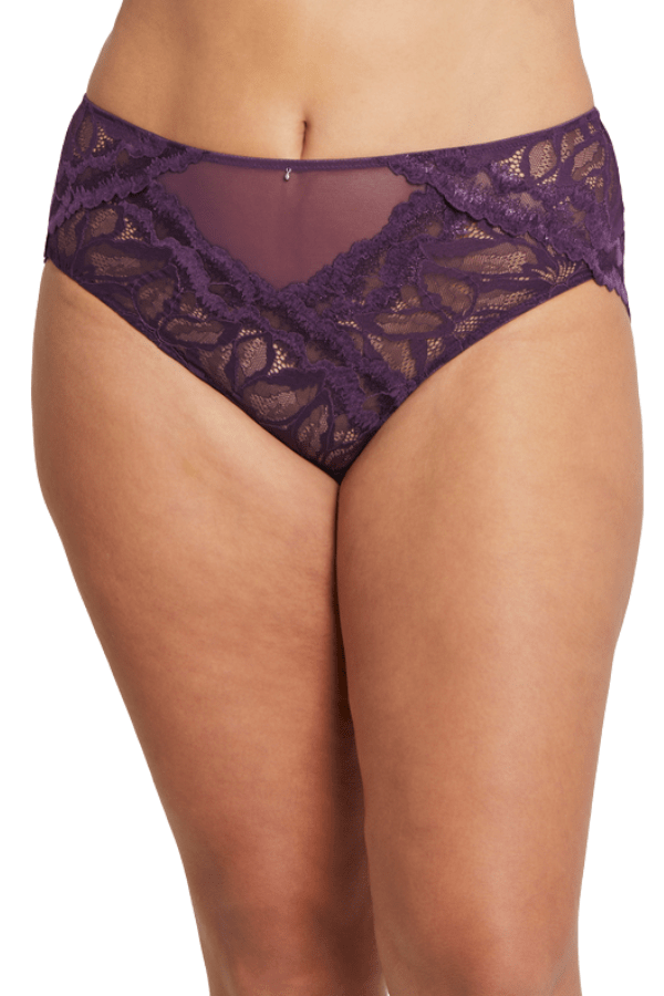 Montelle Lingerie Royale Lace Brief - Purple