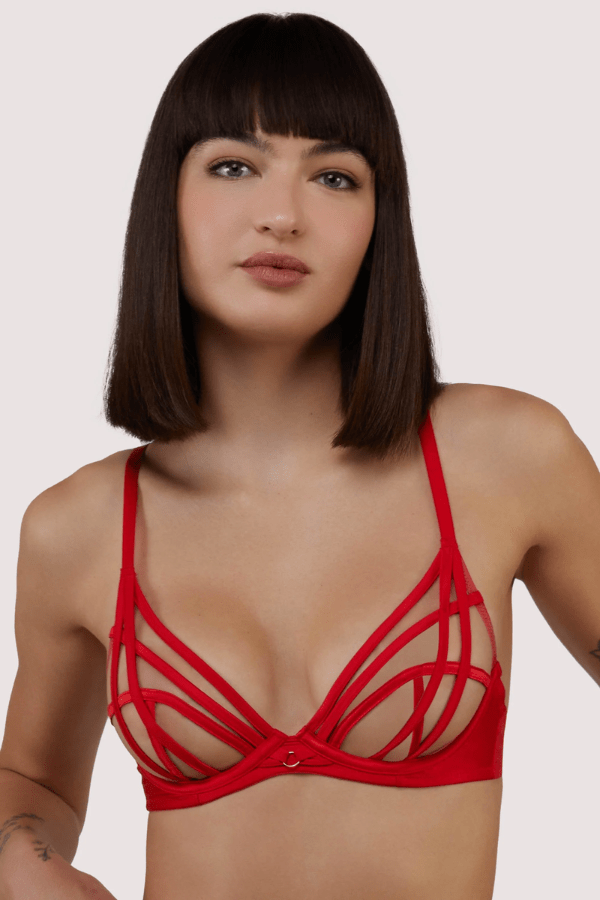 Playful Promises Bras Red / 30 DD/E Ramona Mesh Plunge Bra - Red