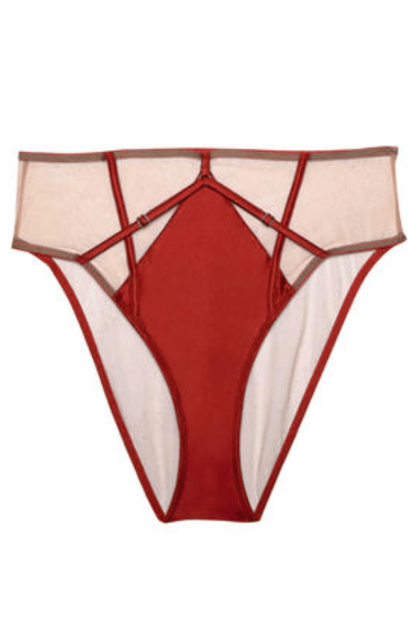 Playful Promises Underwear Ramona Mesh High Waisted Brief - Red