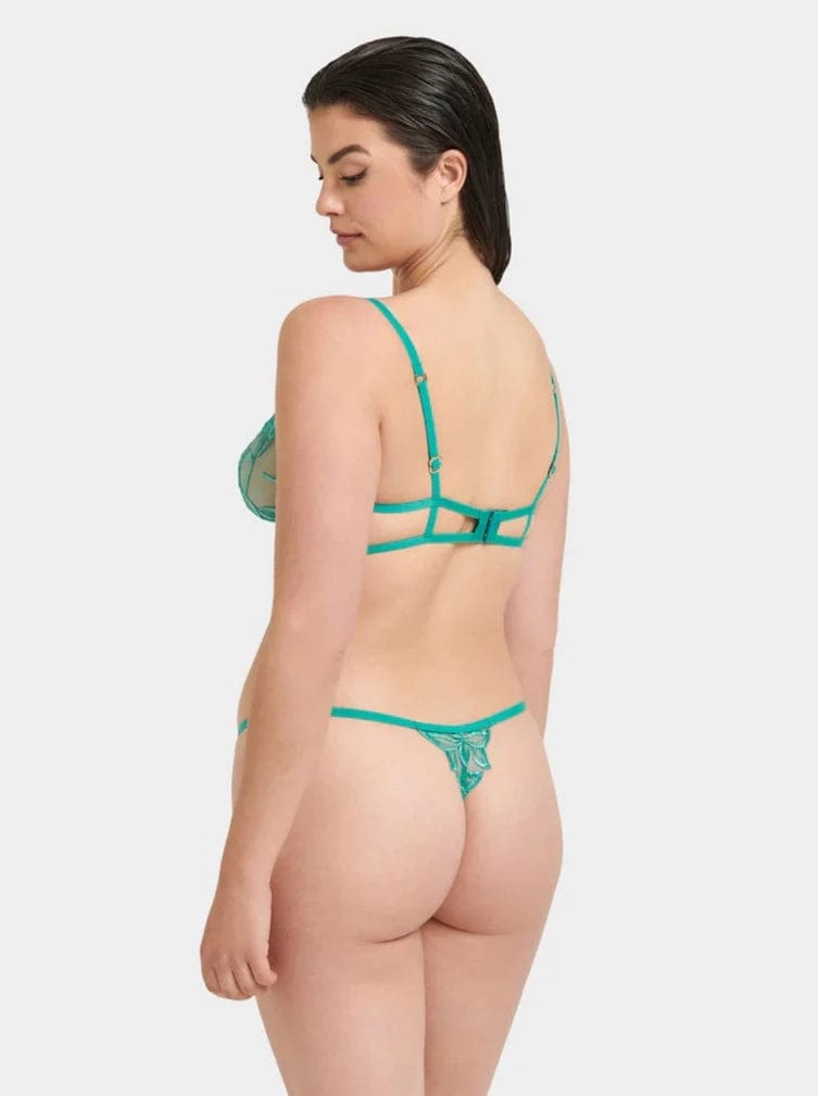 Bluebella Demi Isadora Bra- Columbia Green