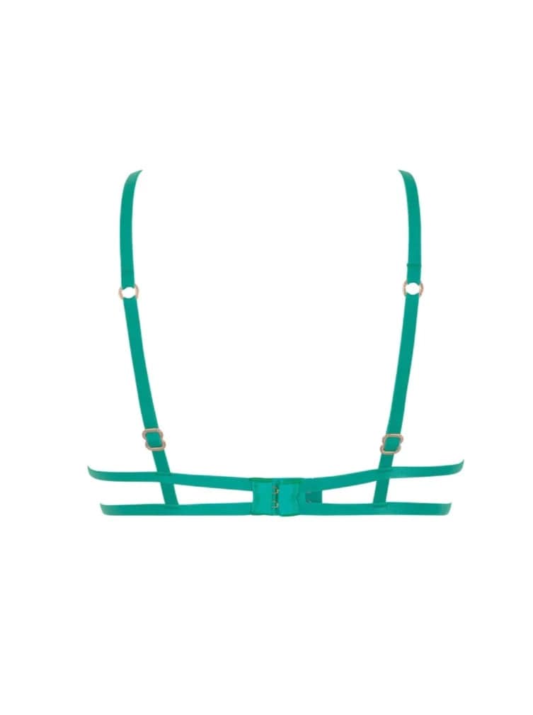 Bluebella Demi Isadora Bra- Columbia Green