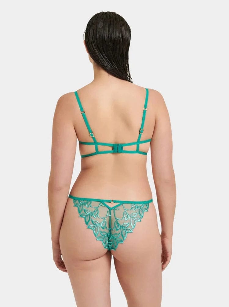 Bluebella Underwear Isadora Panty- Columbia Green