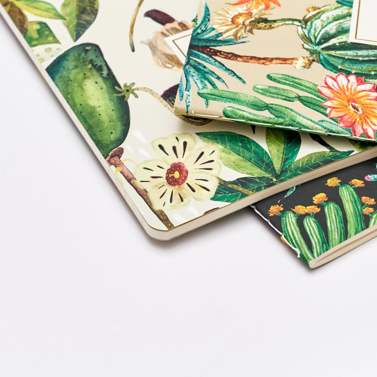 BV by Bruno Visconti Stationery Bruno Visconti Notebook