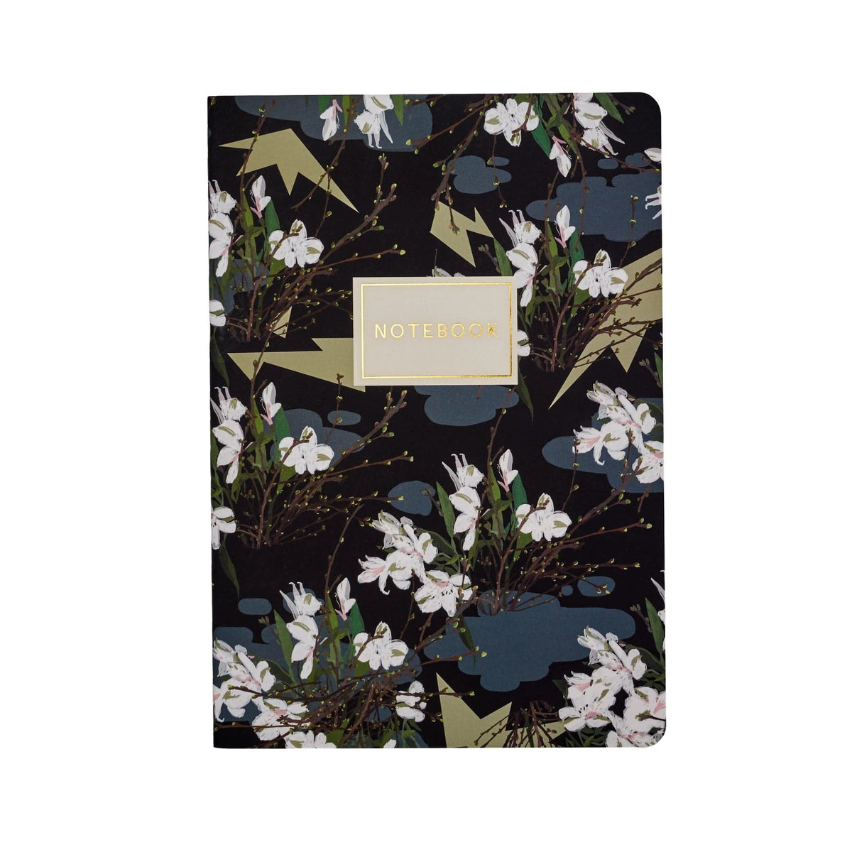 BV by Bruno Visconti Stationery Bruno Visconti Notebook