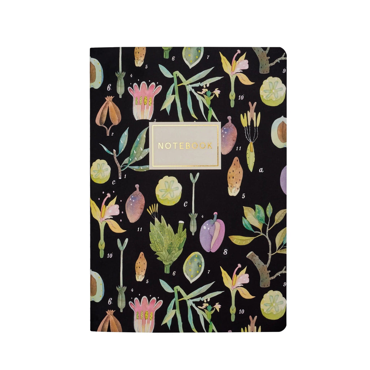 BV by Bruno Visconti Stationery Bruno Visconti Notebook