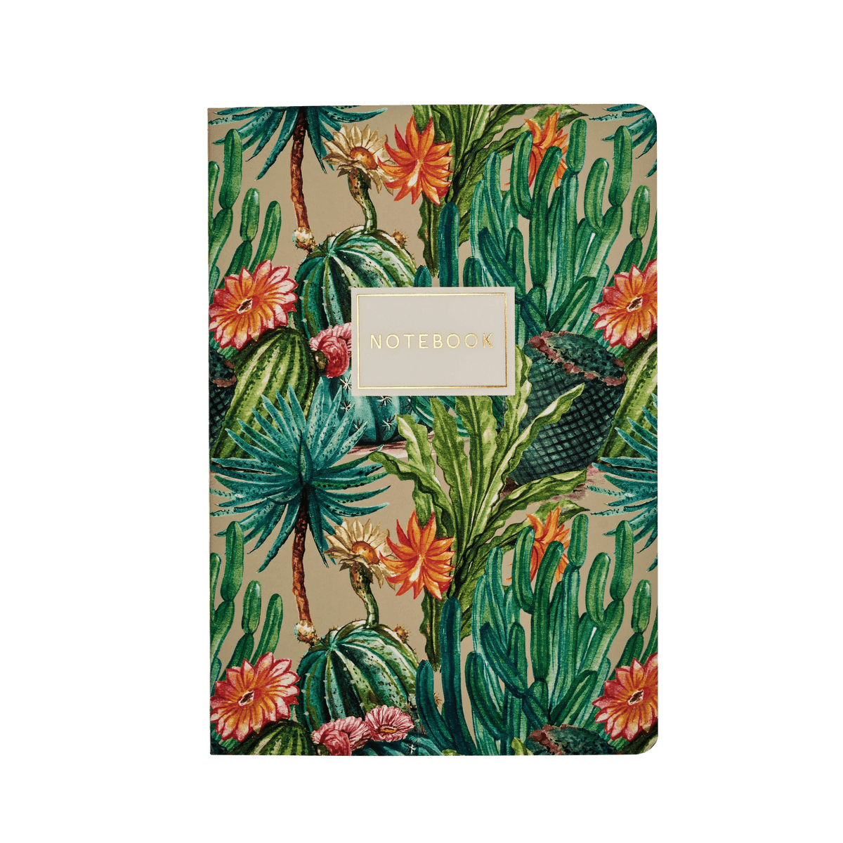 BV by Bruno Visconti Stationery Bruno Visconti Notebook