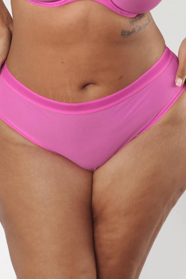 Curvy Couture Briefs Flirt / S Sheer Mesh High Cut Brief - Pink