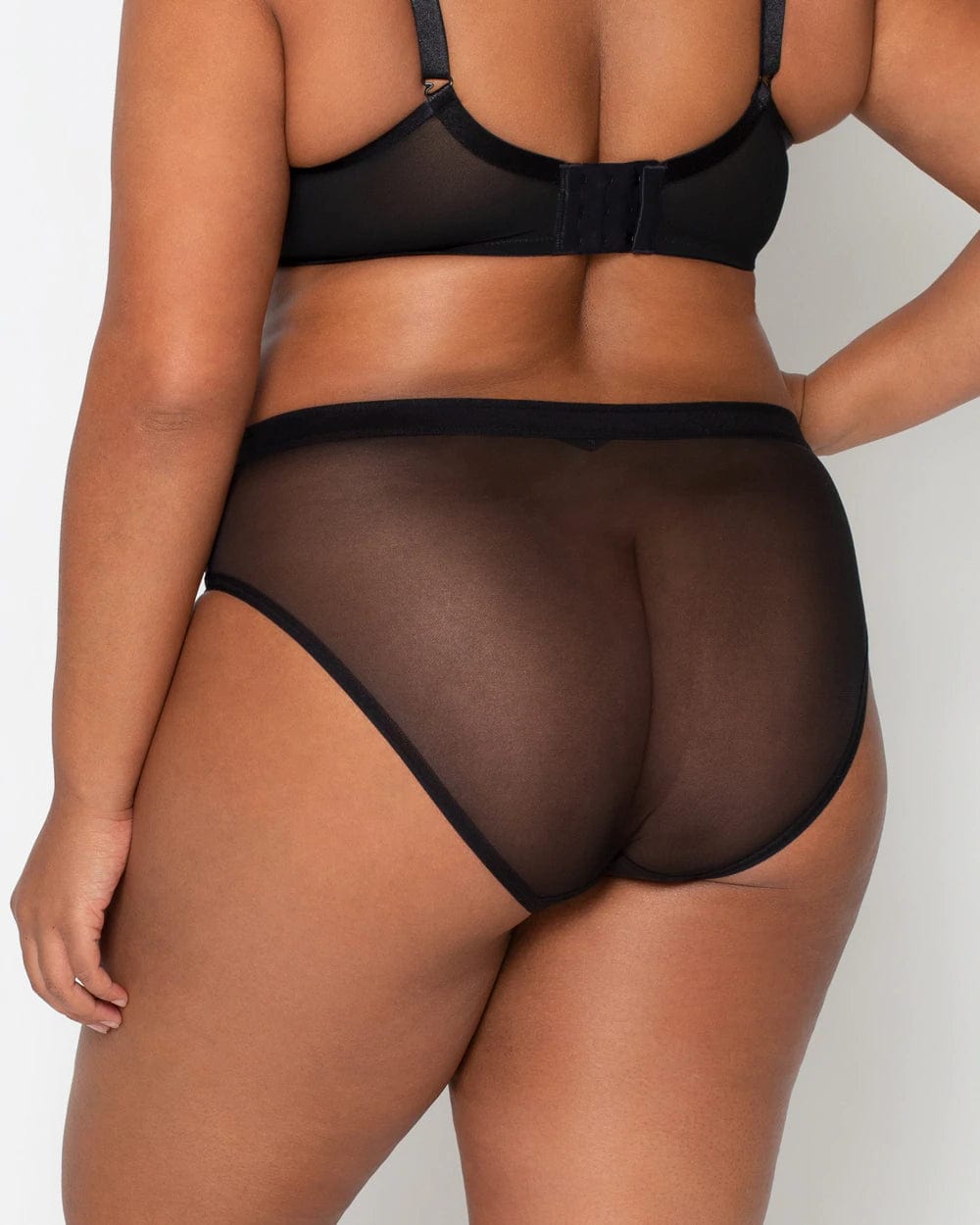 Curvy Couture Briefs Sheer Mesh High Cut Brief - Black