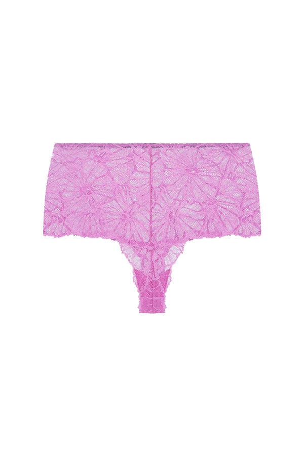 Dora Larsen Briefs Greta Graphic Lace High Waist Knicker