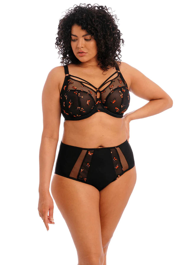 Elomi Plunge Black / 38 DD/E Sachi Plunge Bra- Black