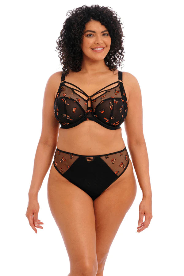 Elomi Plunge Black / 38 DD/E Sachi Plunge Bra- Black