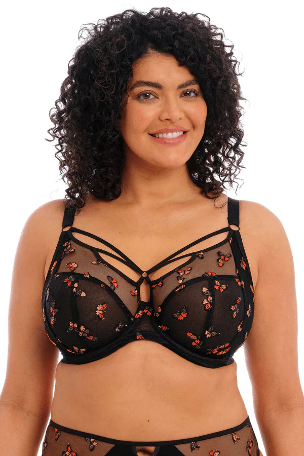 Elomi Plunge Black / 38 DD/E Sachi Plunge Bra- Black