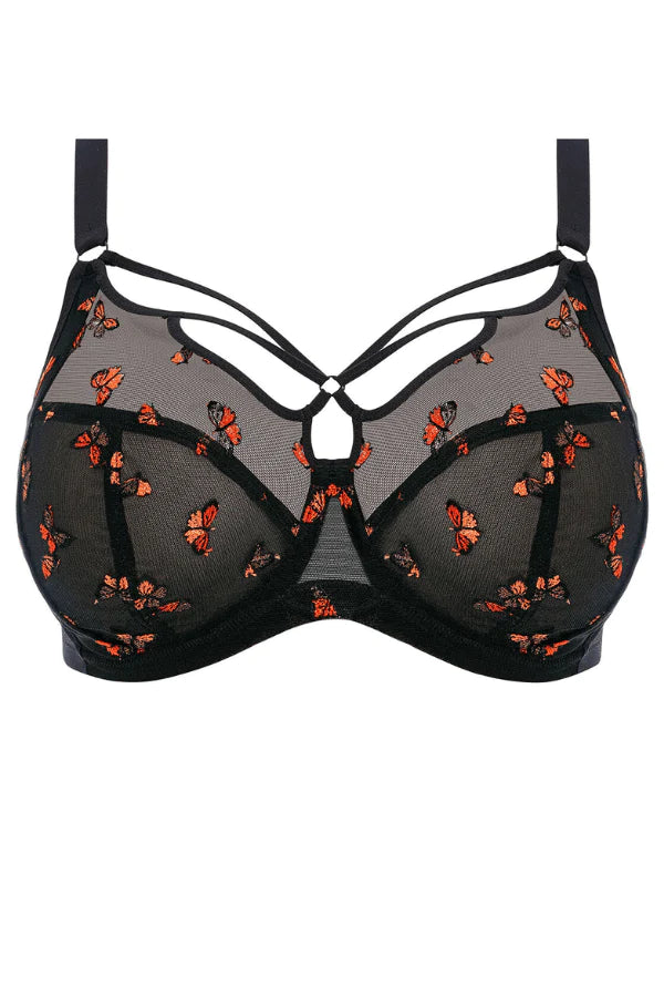 Elomi Plunge Black / 38 DD/E Sachi Plunge Bra- Black