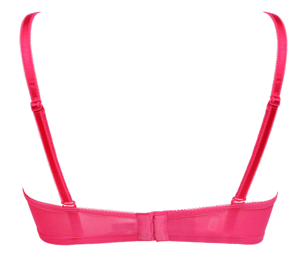 Glossie's Lace Sheer Bra Chérie Amour