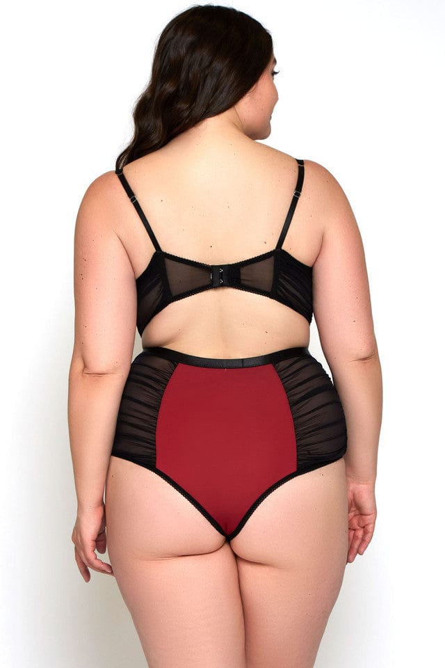 iCollection Teddy Plus Size Notte Teddy- Burgundy