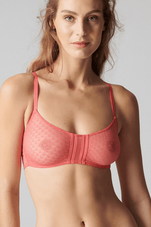 Sheer Mesh Bra  Shop Bras + Bralettes at Papaya Clothing